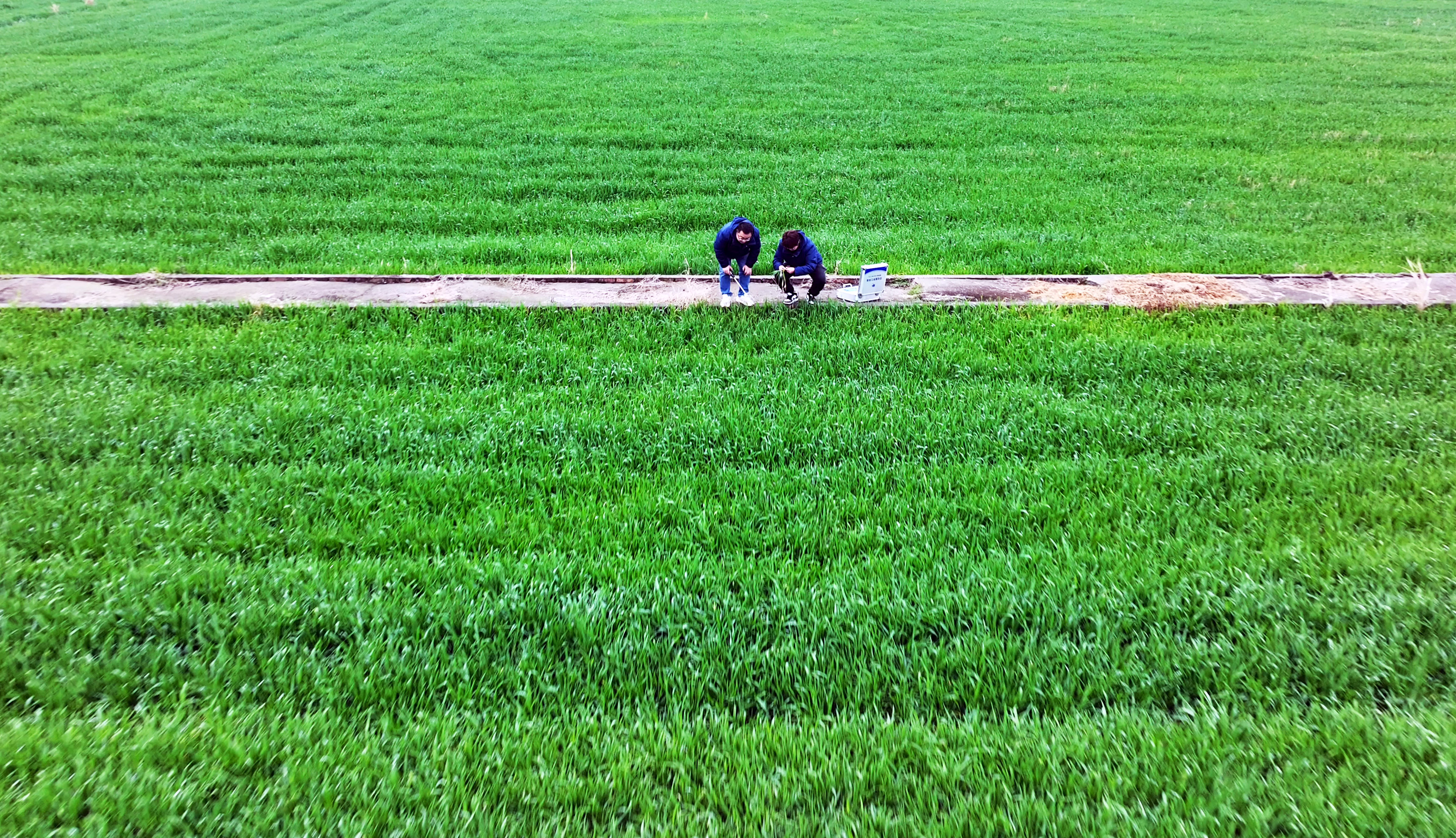 服务春耕：农化服务当先锋添动力