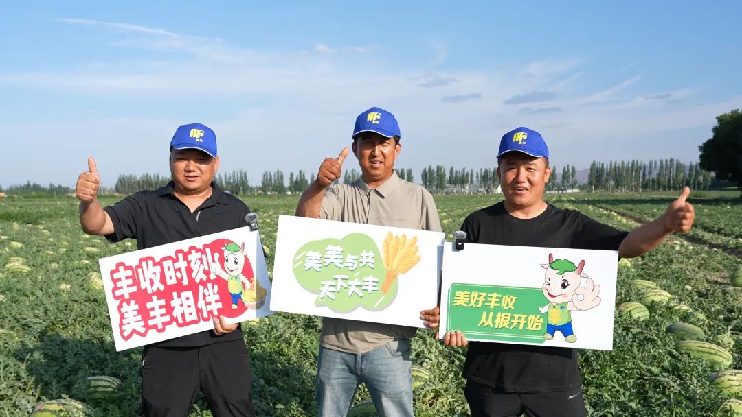 安博电竞肥助力硒砂瓜亩产过万斤